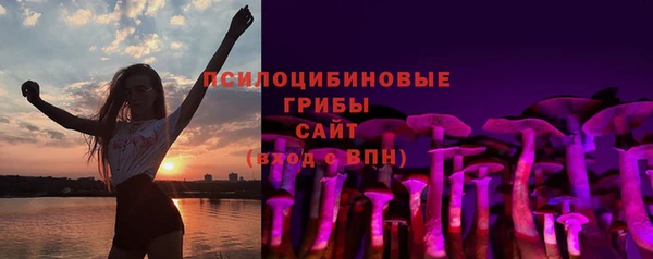 a pvp Гусь-Хрустальный