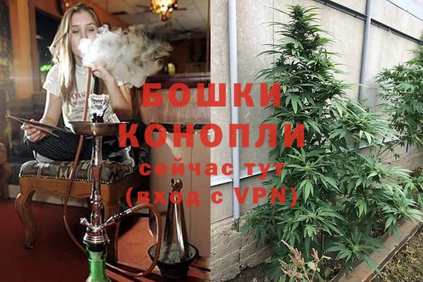 каннабис Гусиноозёрск
