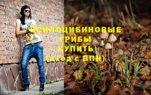 MESCALINE Гусев